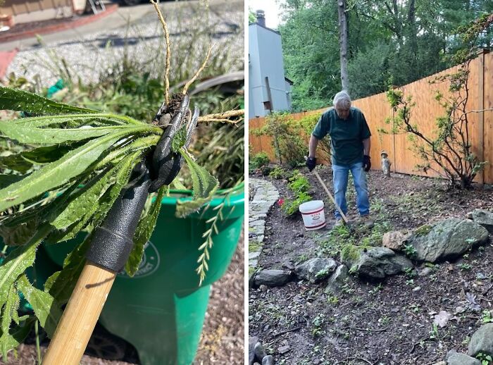 23 Items That Are So Good, Pandas Can’t Resist Them 23 Items That Are So Good, Pandas Can’t Resist Them