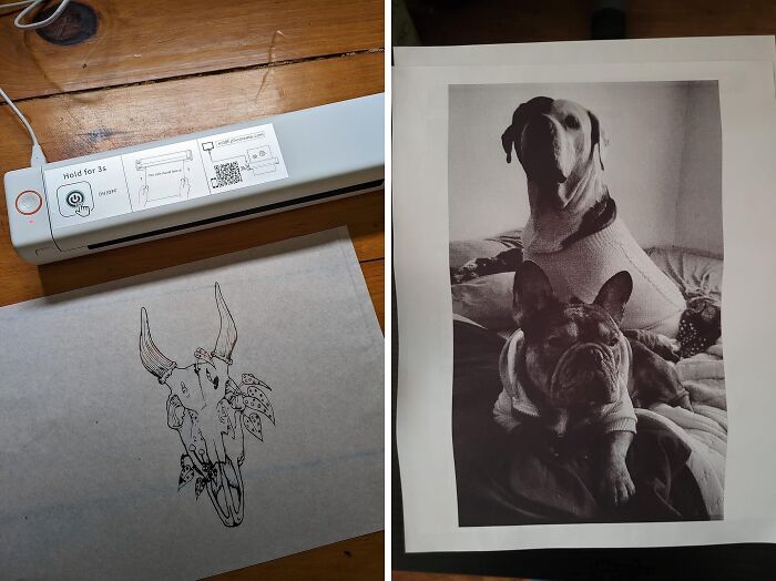 23 Items That Are So Good, Pandas Can’t Resist Them 23 Items That Are So Good, Pandas Can’t Resist Them