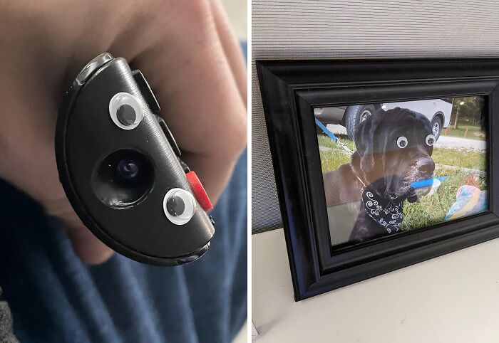 23 Items That Are So Good, Pandas Can’t Resist Them 23 Items That Are So Good, Pandas Can’t Resist Them