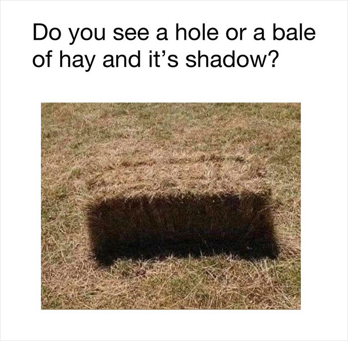 30 Images Right From This Optical Illusion Page That Will Make You Think Twice About The Answer 30 Images Right From This Optical Illusion Page That Will Make You Think Twice About The Answer