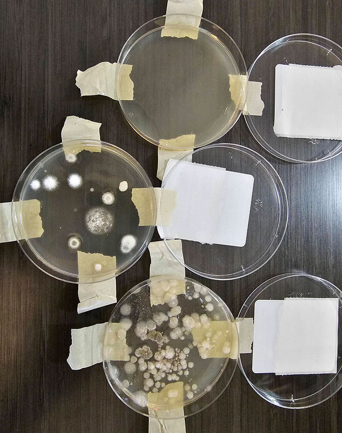 50 Times People’s Experience With Airbnb Was So Bad, They Just Had To Vent Online