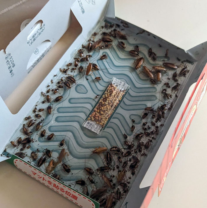 50 Times People’s Experience With Airbnb Was So Bad, They Just Had To Vent Online