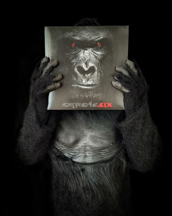 79 Album Covers Extended By This Vinyl Lover Showcasing The Full Picture