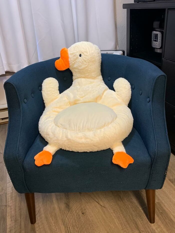 We’re Not Sure Why These 20 Things Exist, But We Kinda Want Them We’re Not Sure Why These 20 Things Exist, But We Kinda Want Them