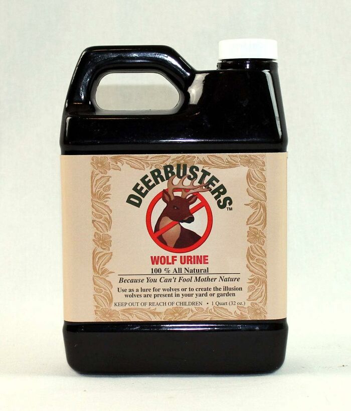 We’re Not Sure Why These 20 Things Exist, But We Kinda Want Them We’re Not Sure Why These 20 Things Exist, But We Kinda Want Them