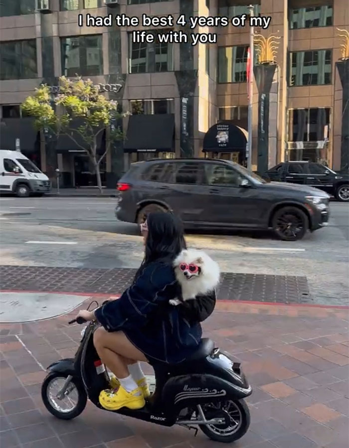 Content Creator Shares Heartbreaking Update Of Dog’s Passing Due To Dad’s Negligence