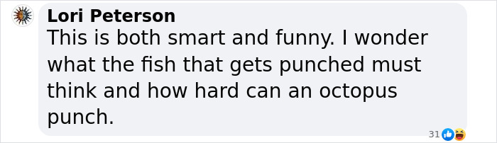 Rare Video Shows Octopuses Punching Their Lazy Fish Partners While Out Hunting Together Rare Video Shows Octopuses Punching Their Lazy Fish Partners While Out Hunting Together