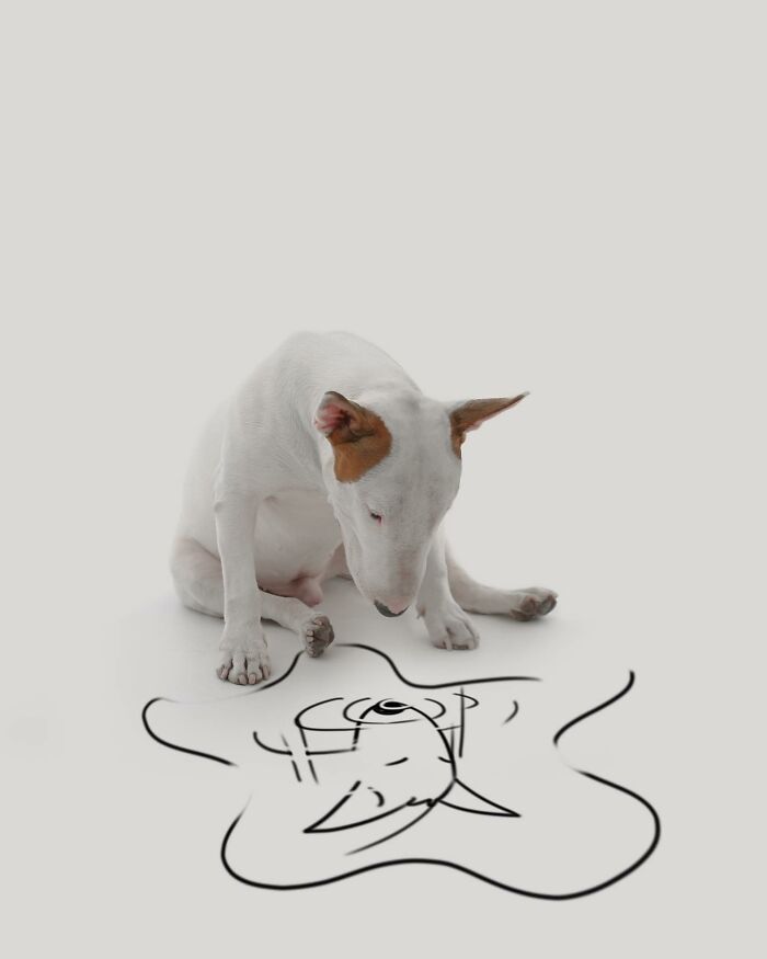 Guy Whose Wife Left Him With Nothing But A Dog Continues To Put Him In Fun Scenarios (47 New Pics) Guy Whose Wife Left Him With Nothing But A Dog Continues To Put Him In Fun Scenarios (47 New Pics)