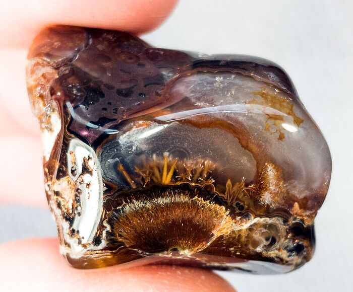 50 Times People Opened Up Things And Just Had To Share What They Found Inside (New Pics) 50 Times People Opened Up Things And Just Had To Share What They Found Inside (New Pics)