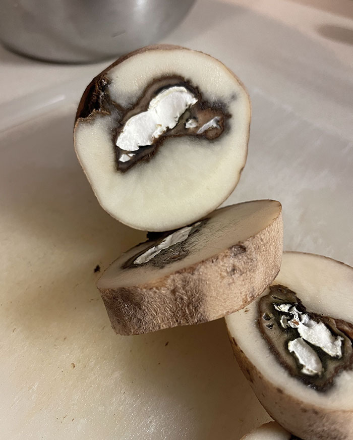 50 Times People Opened Up Things And Just Had To Share What They Found Inside (New Pics) 50 Times People Opened Up Things And Just Had To Share What They Found Inside (New Pics)