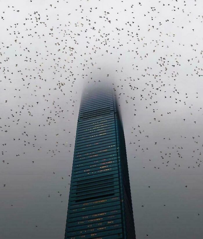 50 Of The Most Haunting Liminal Spaces You May Never Want To End Up Within 50 Of The Most Haunting Liminal Spaces You May Never Want To End Up Within