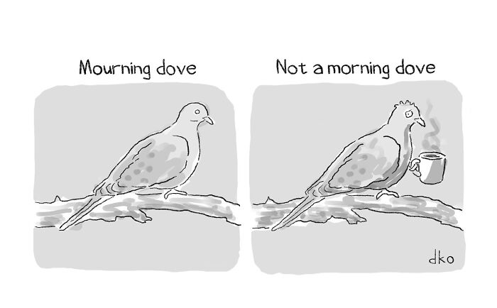 Artist Reveals Absurdities Of The Modern World Through Humorous Comics (28 New Pics)