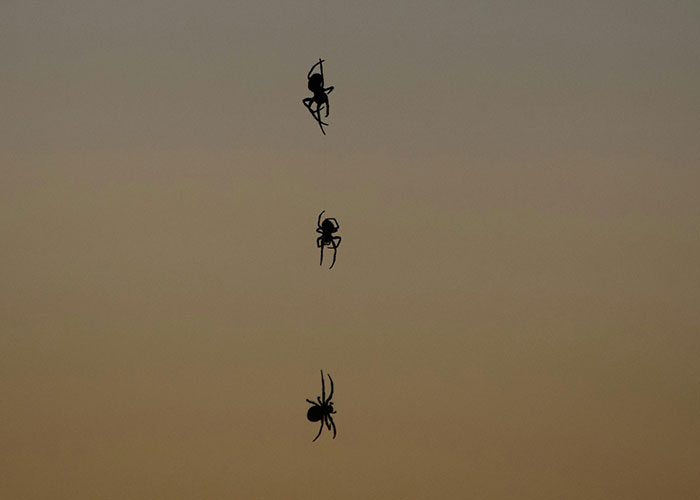 30 Things That Aren&rsquo;t Bad Or Wrong At All But Get So Much Hate