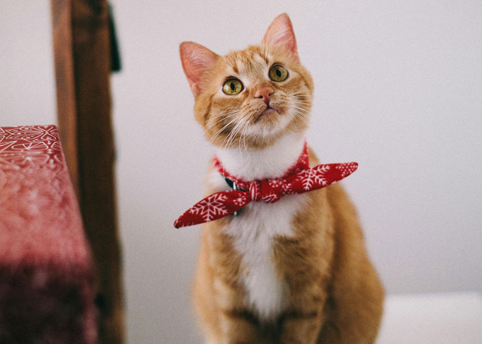 30 Things That Aren&rsquo;t Bad Or Wrong At All But Get So Much Hate