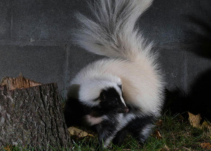 30 Things That Aren&rsquo;t Bad Or Wrong At All But Get So Much Hate