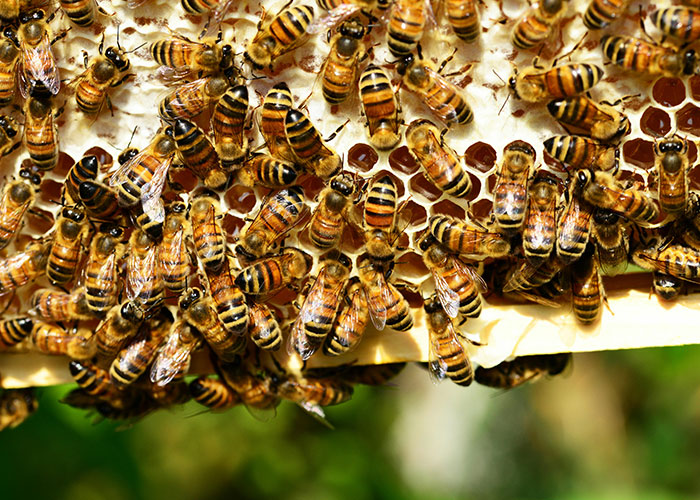 30 Things That Aren&rsquo;t Bad Or Wrong At All But Get So Much Hate