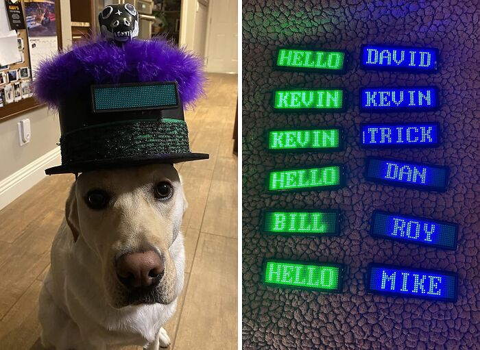 22 One Trick Ponies That We Are Beyond Obsessed With 22 One Trick Ponies That We Are Beyond Obsessed With