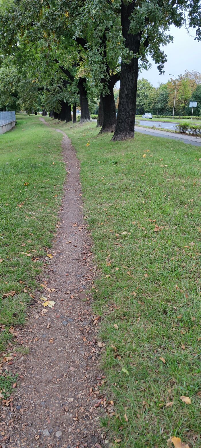 50 Times Urban Planners Failed To Understand People’s Needs, And It Resulted In ‘Desire Paths’ (New Pics) 50 Times Urban Planners Failed To Understand People’s Needs, And It Resulted In ‘Desire Paths’ (New Pics)