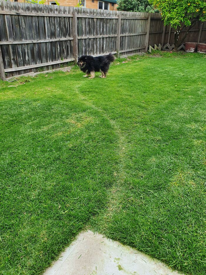 50 Times Urban Planners Failed To Understand People’s Needs, And It Resulted In ‘Desire Paths’ (New Pics) 50 Times Urban Planners Failed To Understand People’s Needs, And It Resulted In ‘Desire Paths’ (New Pics)