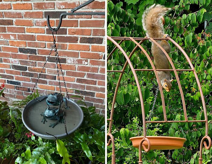 20 Of The Most Bought Garden Items That Pandas Can’t Get Enough Of 20 Of The Most Bought Garden Items That Pandas Can’t Get Enough Of