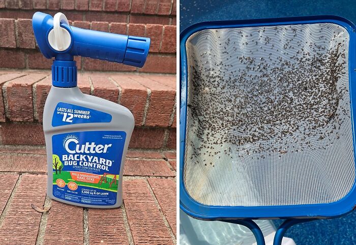 20 Of The Most Bought Garden Items That Pandas Can’t Get Enough Of 20 Of The Most Bought Garden Items That Pandas Can’t Get Enough Of