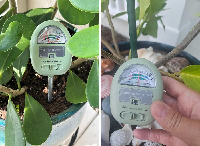 20 Of The Most Bought Garden Items That Pandas Can’t Get Enough Of 20 Of The Most Bought Garden Items That Pandas Can’t Get Enough Of