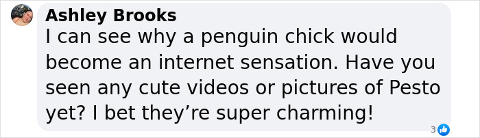 Meet 9-Month-Old Pesto, Who’s The Besto, Weighing In At A Whopping 22 Kg Meet 9-Month-Old Pesto, Who’s The Besto, Weighing In At A Whopping 22 Kg