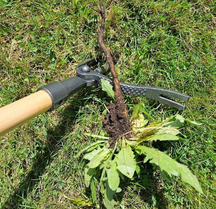 21 Items That Saw A Problem And Said: “Consider It Solved” 21 Items That Saw A Problem And Said: “Consider It Solved”