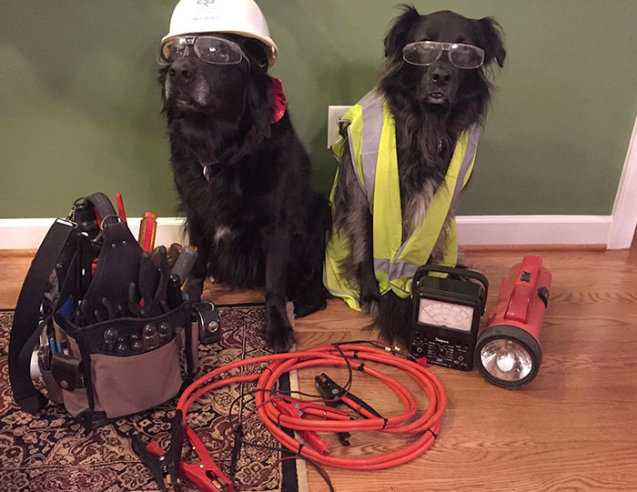 50 Times Parents Were So Wholesome And Supportive, They Won The Internet (New Pics) 50 Times Parents Were So Wholesome And Supportive, They Won The Internet (New Pics)