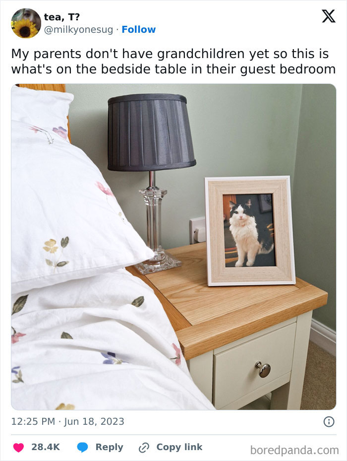 50 Times Parents Were So Wholesome And Supportive, They Won The Internet (New Pics) 50 Times Parents Were So Wholesome And Supportive, They Won The Internet (New Pics)