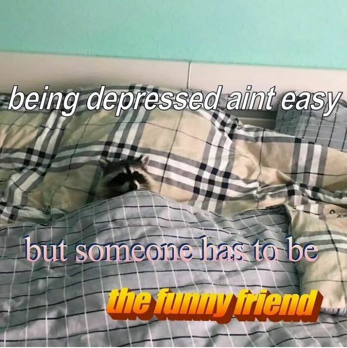 Raccoons Have Never Been More Relatable Than They Are In These 30 Dark Humor Memes Raccoons Have Never Been More Relatable Than They Are In These 30 Dark Humor Memes