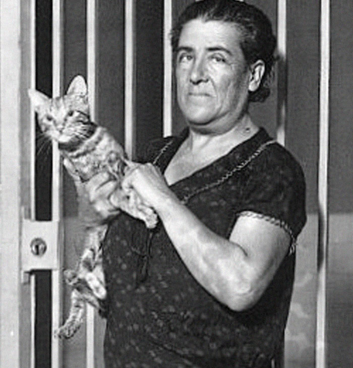 30 Interesting And Fun Facts For Your Daily Dose Of New Knowledge 30 Interesting And Fun Facts For Your Daily Dose Of New Knowledge