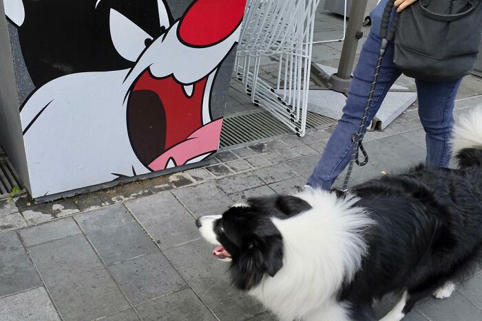 Lucky Coincidences: 20 Perfectly Timed Pictures Taken By Edas Wong (New Pics) Lucky Coincidences: 20 Perfectly Timed Pictures Taken By Edas Wong (New Pics)