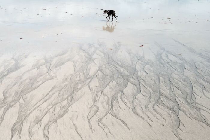 Lucky Coincidences: 20 Perfectly Timed Pictures Taken By Edas Wong (New Pics) Lucky Coincidences: 20 Perfectly Timed Pictures Taken By Edas Wong (New Pics)