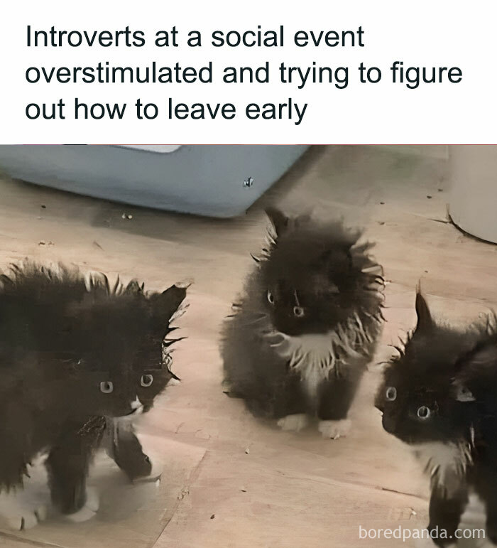 50 Hilarious Random Memes To Brighten Up Your Day (New Pics) 50 Hilarious Random Memes To Brighten Up Your Day (New Pics)