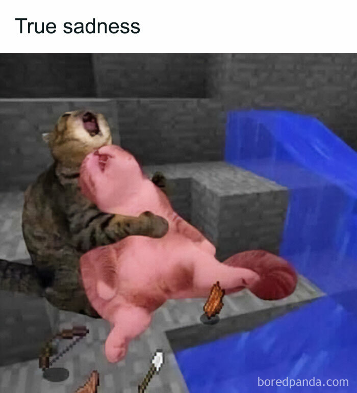 49 Minecraft Memes: The Ultimate Collection For Hardcore Fans 49 Minecraft Memes: The Ultimate Collection For Hardcore Fans