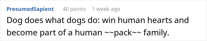 Stray Dog Becomes Employed At A Gas Station After Chasing Off Robbers