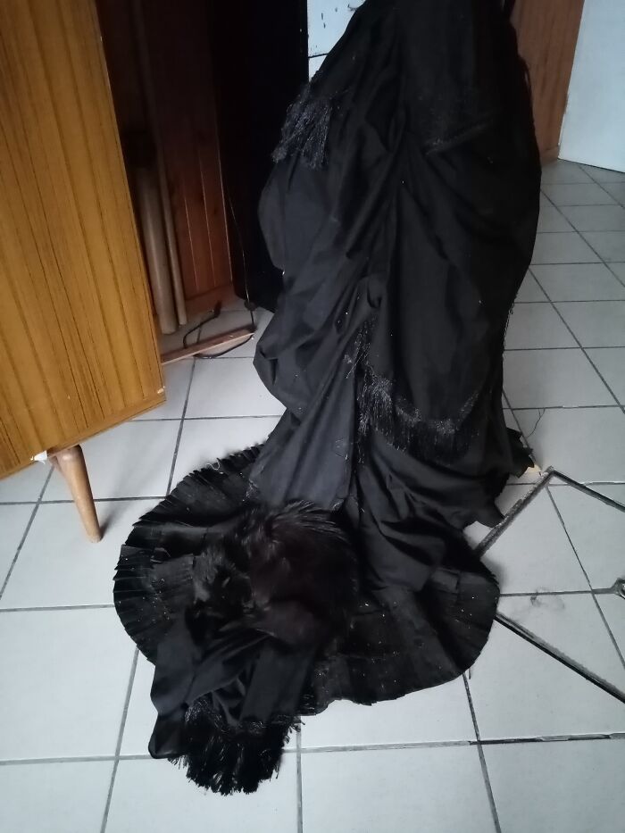 Hey Pandas, Share The Funniest Photos Of Cats Hiding In Plain Sight (Closed) Hey Pandas, Share The Funniest Photos Of Cats Hiding In Plain Sight (Closed)