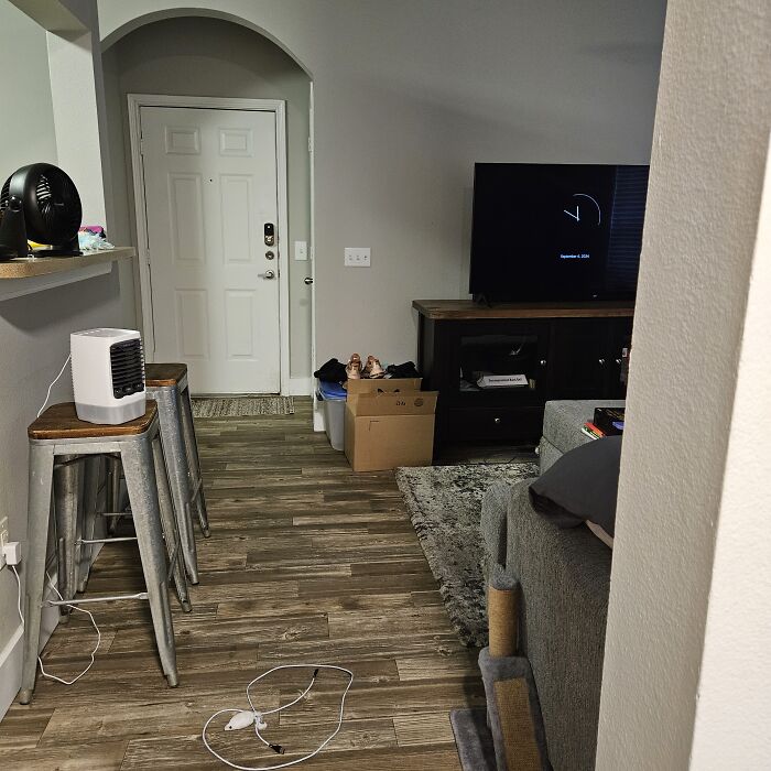 Hey Pandas, Share The Funniest Photos Of Cats Hiding In Plain Sight (Closed) Hey Pandas, Share The Funniest Photos Of Cats Hiding In Plain Sight (Closed)