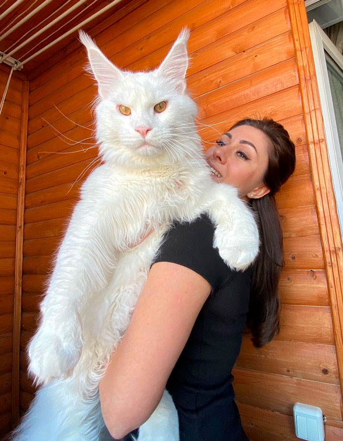 50 Animals So Giant It’s Hard To Believe They’re Real (New Pics) 50 Animals So Giant It’s Hard To Believe They’re Real (New Pics)