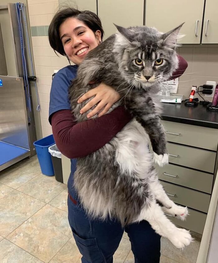 50 Animals So Giant It’s Hard To Believe They’re Real (New Pics) 50 Animals So Giant It’s Hard To Believe They’re Real (New Pics)