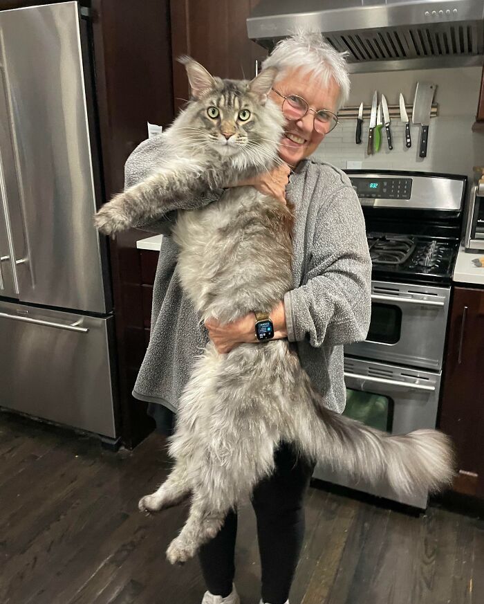 50 Animals So Giant It’s Hard To Believe They’re Real (New Pics) 50 Animals So Giant It’s Hard To Believe They’re Real (New Pics)