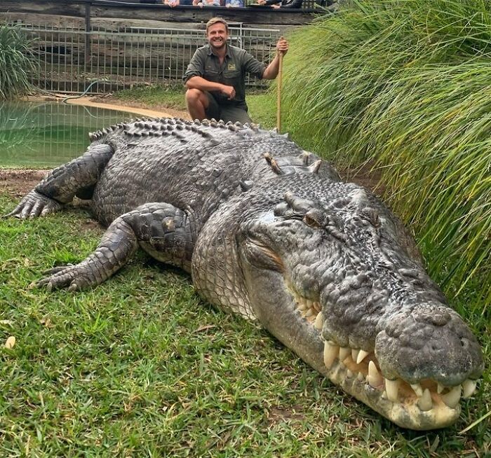 50 Animals So Giant It’s Hard To Believe They’re Real (New Pics) 50 Animals So Giant It’s Hard To Believe They’re Real (New Pics)