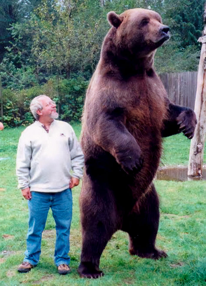 50 Animals So Giant It’s Hard To Believe They’re Real (New Pics) 50 Animals So Giant It’s Hard To Believe They’re Real (New Pics)