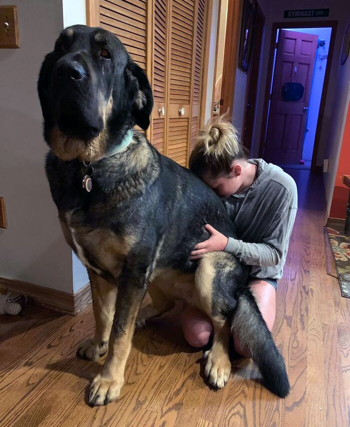 50 Animals So Giant It’s Hard To Believe They’re Real (New Pics) 50 Animals So Giant It’s Hard To Believe They’re Real (New Pics)