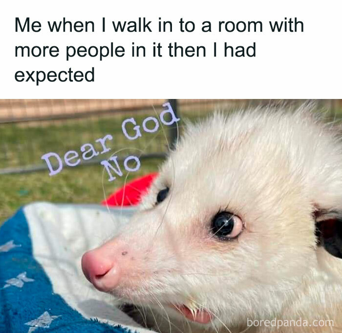 50 Introvert Memes By This Instagram Page Dedicated To Those Who Want Some Peace And Quiet 50 Introvert Memes By This Instagram Page Dedicated To Those Who Want Some Peace And Quiet