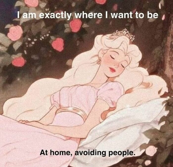 50 Introvert Memes By This Instagram Page Dedicated To Those Who Want Some Peace And Quiet 50 Introvert Memes By This Instagram Page Dedicated To Those Who Want Some Peace And Quiet