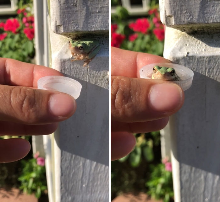 50 Cute And Funny Photos That May Show You A Different Side To These Critters (New Pics) 50 Cute And Funny Photos That May Show You A Different Side To These Critters (New Pics)