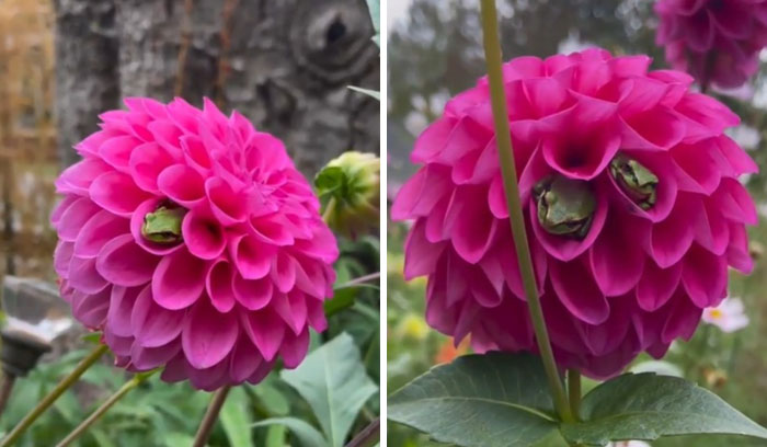 50 Cute And Funny Photos That May Show You A Different Side To These Critters (New Pics) 50 Cute And Funny Photos That May Show You A Different Side To These Critters (New Pics)