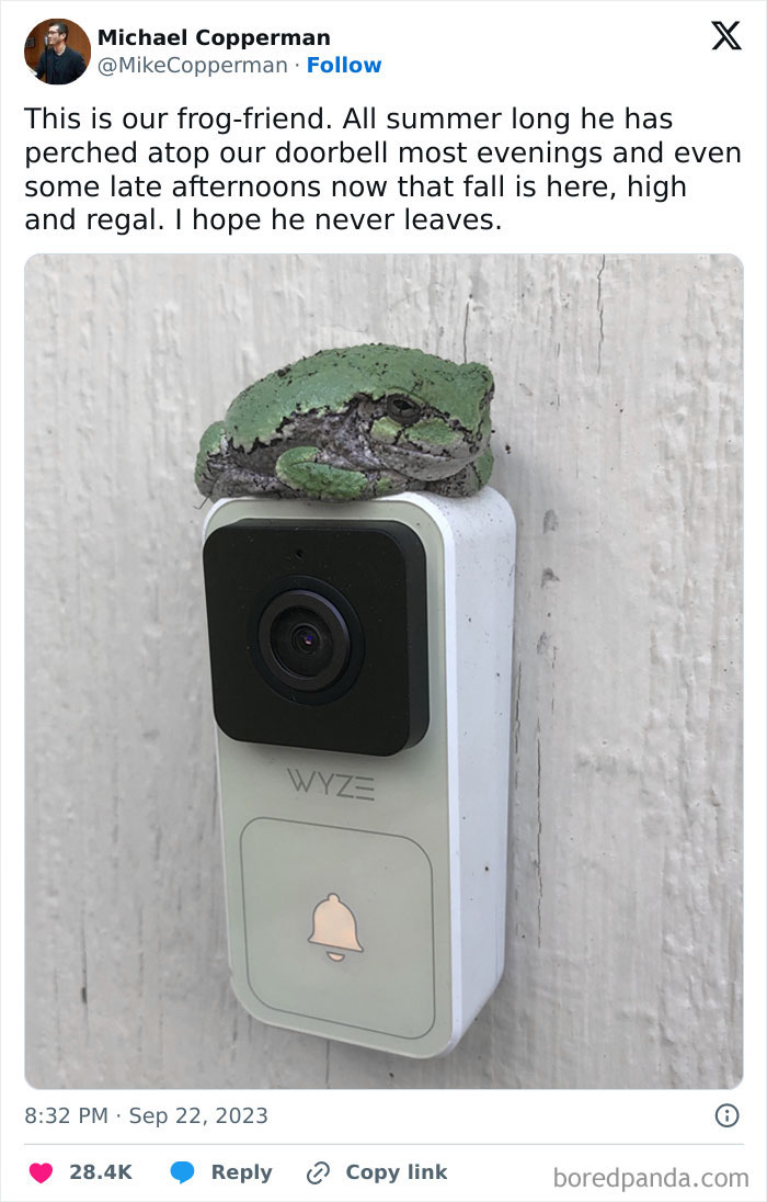 50 Cute And Funny Photos That May Show You A Different Side To These Critters (New Pics) 50 Cute And Funny Photos That May Show You A Different Side To These Critters (New Pics)